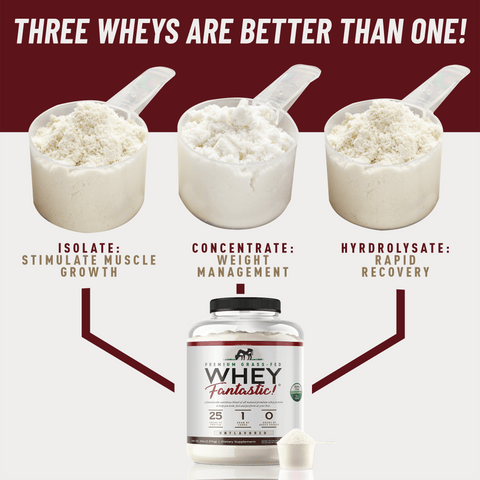 Whey Fantastic Unflavored Grass-Fed Whey Protein Powder (5lb) - 75 Servings
