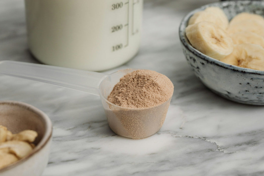 protein powder