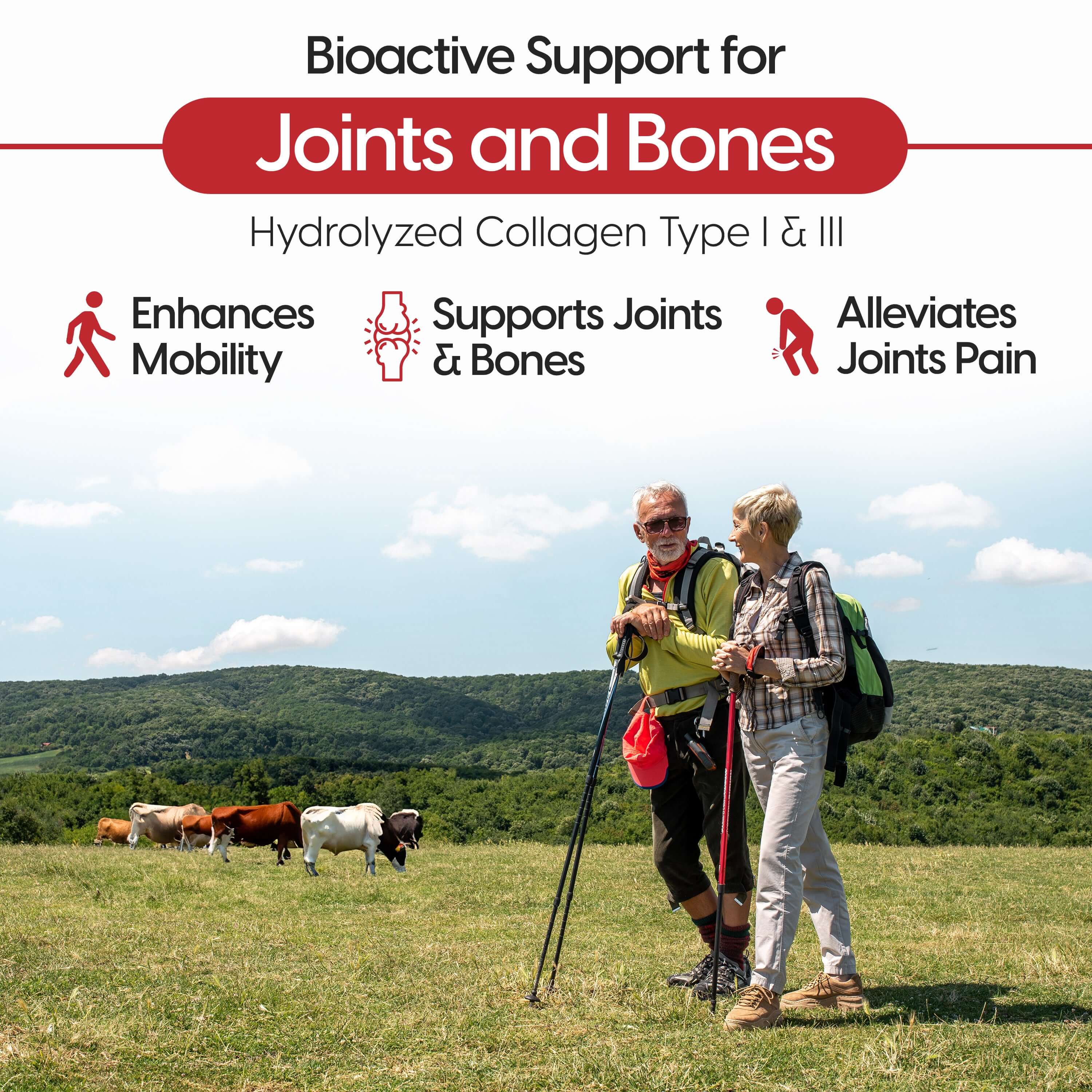 Bioactive support for joints and bones with hydrolyzed collagen type I and III enhancing mobility and alleviating pain.