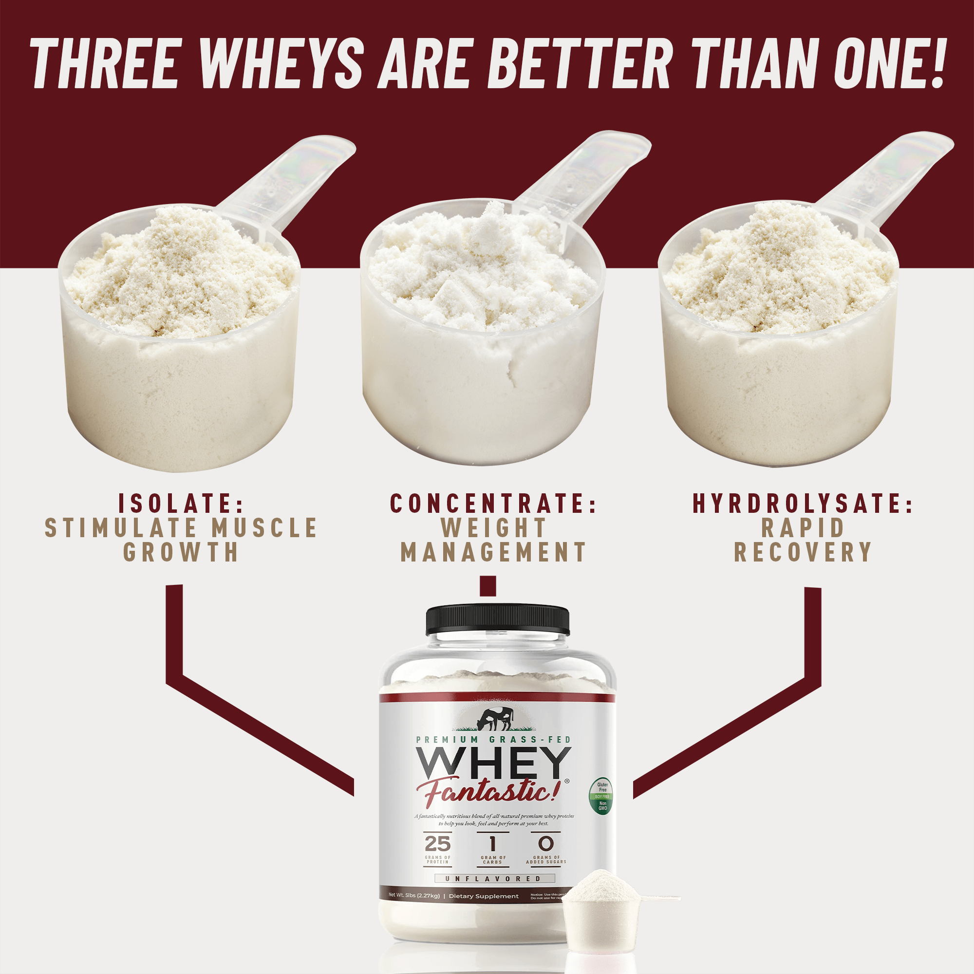 Image of Whey Fantastic showing three scoops representing isolate, concentrate, and hydrolysate for optimal muscle support.