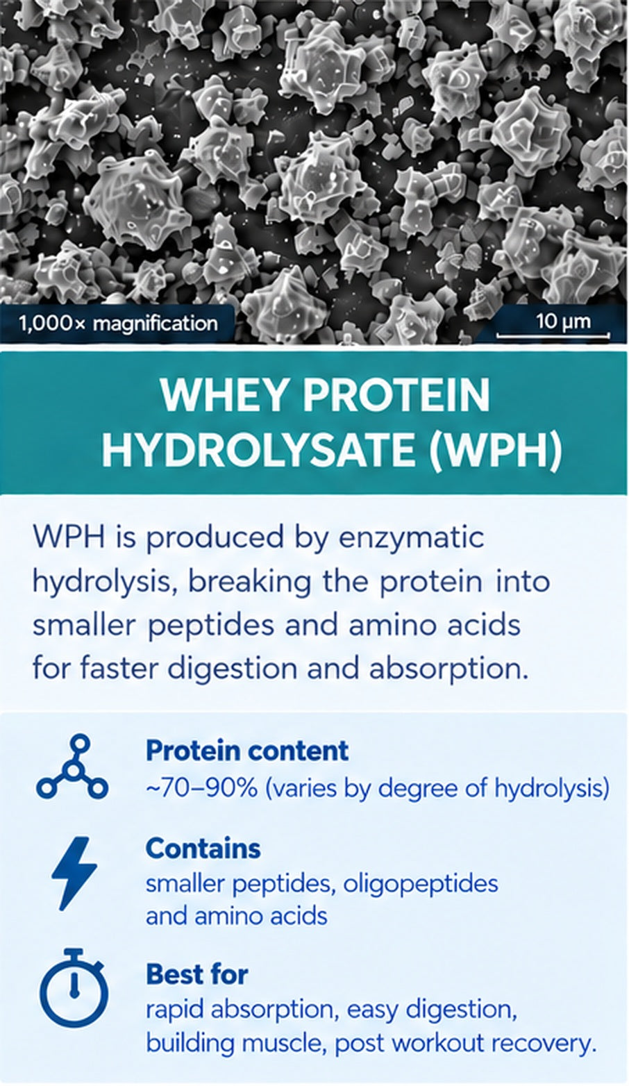 Fantastic Nutrition hydrolyzed whey education image
