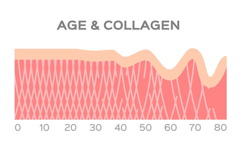 Collagen Fantastic! - Bioactive Type I and III New Zealand Grass Fed Bovine Clean Collagen. - Fantastic Nutrition